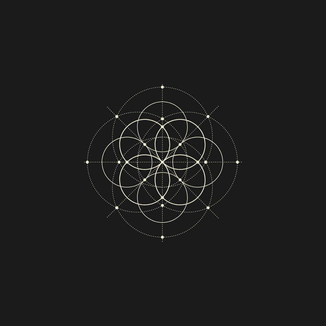 Energy Coaching Options